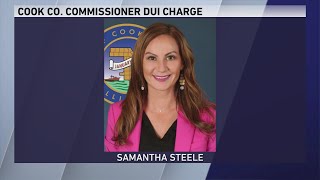 Cook County Board of Review commissioner charged with drunk driving [upl. by Barton456]