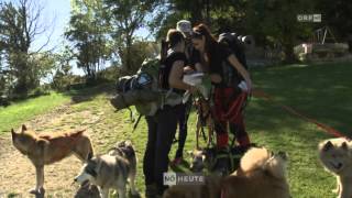 Der Verein Dogtrekking amp More im ORF [upl. by Ennairek]