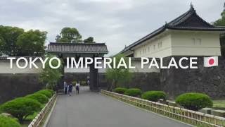 The Imperial Palace Eastern Gardens in Tokyo Japan  皇居 [upl. by Hasheem]