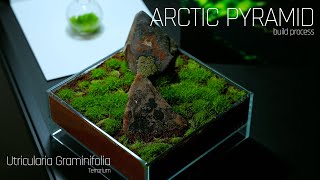 Arctic Pyramid  Terrarium Build Process with Utricularia Graminifolia [upl. by Adraynek]