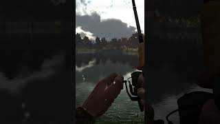 Fishing planet Catching a Redfin Trophy Pickerel [upl. by Cristin258]