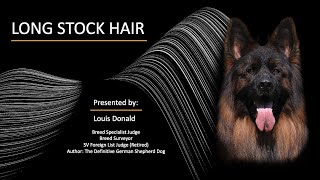 The Long Stock Hair German Shepherd Dog  Presented at WUSV Congress Lerma Spain 2023 [upl. by Polish475]