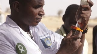 Taha vaccinates 1000 goats per day [upl. by Eedebez]