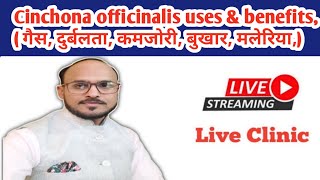 Cinchona officinalis uses amp benefits  गैस दुर्बलता कमजोरी बुखार मलेरिया Dr Nikhil Sahu Live [upl. by Ahsenot]