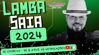 LAMBASAIA CD NOVO 2024 COM O MELHOR DA LAMBADA [upl. by Briggs]