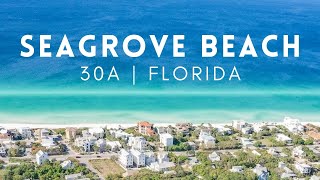 30A Florida Beach House Tour  Seagrove Beach Florida [upl. by Appleton956]