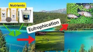 Eutrophication [upl. by Odnamla]