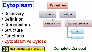 Cytoplasm structure and function  Complete Concept  J Biology [upl. by Rambort]