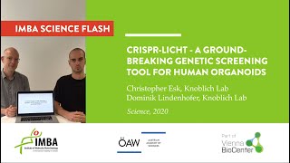 CRISPRLICHT  A groundbreaking genetic screening tool for human organoids [upl. by Olnay]