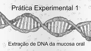 Prática experimental I  Extração de DNA da mucosa oral [upl. by Yrovi632]