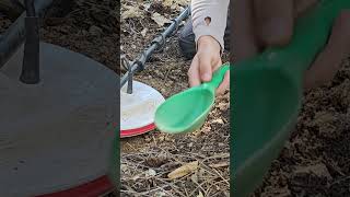 Gold found with a metal detector in California [upl. by Ylehsa706]