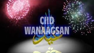 Hees Cusub 2011 Ciid wanaagsan By Kaltuun Xassan Bacado [upl. by Utley]