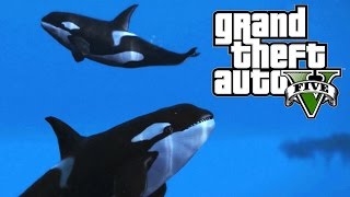 GTA V on PS4  Whale Watching [upl. by Ariadne]