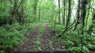 McKendree Hospital Ruins [upl. by Seuqirdor629]