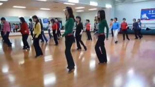 Senorita  Line Dance Dance amp Walk Through [upl. by Keryt]