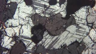 Migmatite à cordiérite et grenat au microscope polarisant LPA [upl. by Casaleggio]