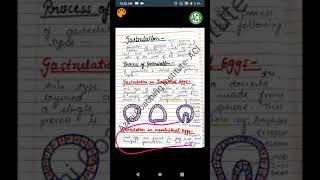 Gastrulation  Process of Gastrulation  Developmental Biology  BSc Zoology  Rehan Khan Sir [upl. by Elleyoj680]