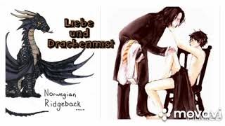 Snarry Fanfiction  Liebe und Drachenmist  Kapitel 7 [upl. by Intruoc]