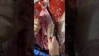 Fish viscera cleaning process [upl. by Rehpotsirc]