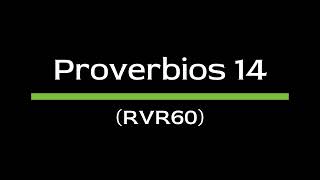 Proverbios 14 RVR60  Biblia Hablada  Español Latino [upl. by Jillane]