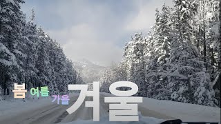 Banff Daisy Ep26 끝나지 않는 겨울 [upl. by Eneleh569]