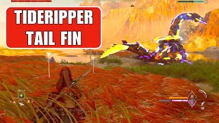 How to Get Tideripper Tail Fin in Horizon Forbidden West [upl. by Cleary]