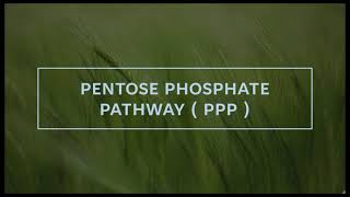 Biochemistry  pentose phosphate pathway ppp [upl. by Sheehan]