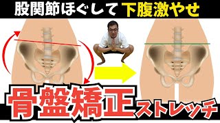 【骨盤矯正ストレッチ】骨盤矯正ストレッチで座ったまま激やせ！開いた骨盤引き締めて下腹凹む [upl. by Llekram]