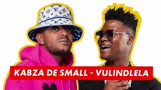 Kabza De Small  Vulindlela Ft Mlindo The Vocalist [upl. by Bertrando]