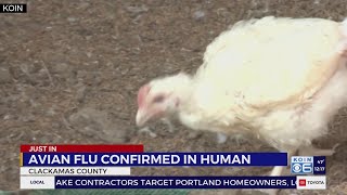 Oregon’s first human case of avian influenza reported by health officials [upl. by Aistek]