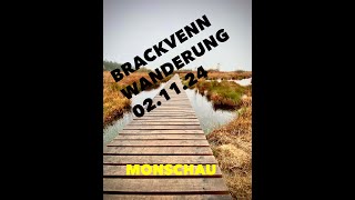 Wanderung Brackvenn 021124 [upl. by Haggai]