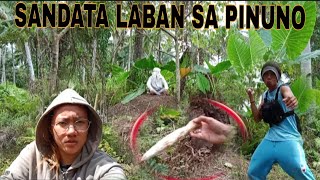 SANDATA NG KABUTIHAN BINIGAY NI LOLO ANGELO kmjs viral engkanto dmistery [upl. by Taro]