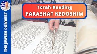 PARASHAT KEDOSHIM  Weekly Torah Reading in Hebrew amp English Translation  TORAH STUDY [upl. by Kensell497]