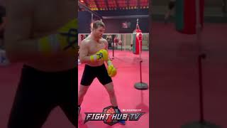 CANELO MASTER OF HEAD MOVEMENT  SHOWS SUAVE DEFENSE [upl. by Naegem]