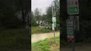 💥 Traun führt Hochwasser [upl. by Esille113]