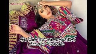 Os kho me zargay shwe Slowed  Reverb Shahsawar Gul panra 2013 old song and 2024 slowed reverb [upl. by Burn]