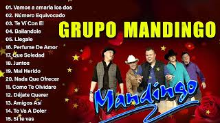 GRUPO MANDINGO EXITOS SUS MEJORES CANCIONES DE GRUPO MANDINGO [upl. by Stoecker]