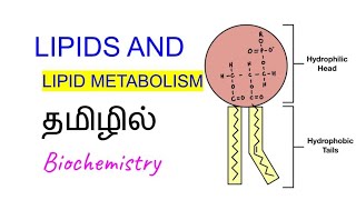 LIPIDS AND LIPID METABOLISM IN TAMIL [upl. by Orlosky755]