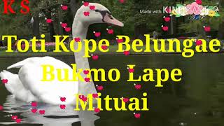 Toyang Kiramto Nom Karaoke With Lyrics [upl. by Rollin]