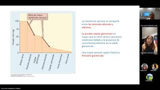 Fisiología renal excreción órgano endocrino homeostasis [upl. by Ericha298]