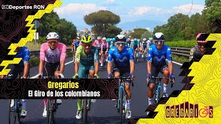 Gregarios El Giro de los colombianos [upl. by Fremont403]