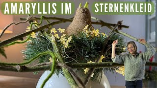 DIY Naturstern amp Amaryllis im Sternenkleid 🌲 blühende Adventsdeko im Keramiktopf 🌲 [upl. by Notecnirp]