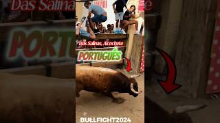 Los toros más fuertes de Portugal  Alcochete 2024 toros bullfight2024 [upl. by Demodena]