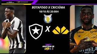 Botafogo X Criciúma  Brasileirão Série A  Canal Anastácio de Castro [upl. by Banyaz]