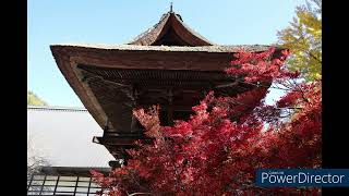 241109 鷹狩山からの北アルプス、霊松寺のお庭の紅葉 [upl. by Aihsaei]