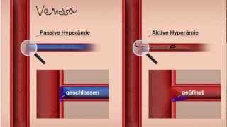 Aktive und Passive Hyperämie Manuelle Lymphdrainage [upl. by Ahtela]