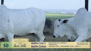 LOTE 50 MATA C2926 C3311 [upl. by Nahtanod]