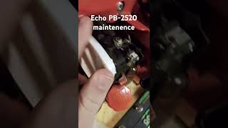 Maintenance on my old hand blower Echo SmallEngines Blowers [upl. by Yesor585]