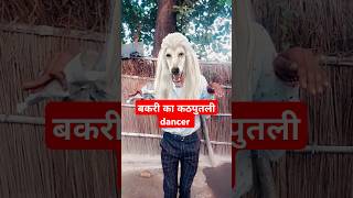 Ye Billi karke dikha l ramujahreela trending shorts ytshort YouTube [upl. by Smoot]