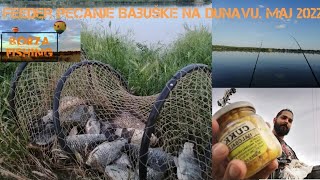 Pecanje Feeder pecanje Babuške na Dunavu Fishing Ribolov [upl. by Novihs]